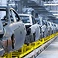 Automobile Industry 