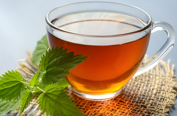 Fact-vs-Fitness-gallery-img-1