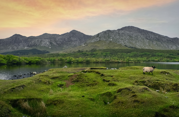 My-Tours-Ireland-gallery-img-4