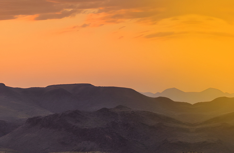 txportable-gallery-img-2