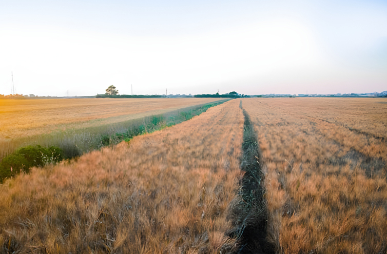 txportable-gallery-img-3